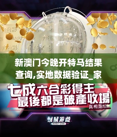 新澳门今晚开特马结果查询,实地数据验证_家庭影院版NWC2.17