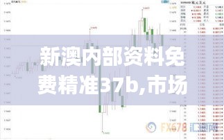 新澳内部资料免费精准37b,市场需求解析_见证版DME2.12