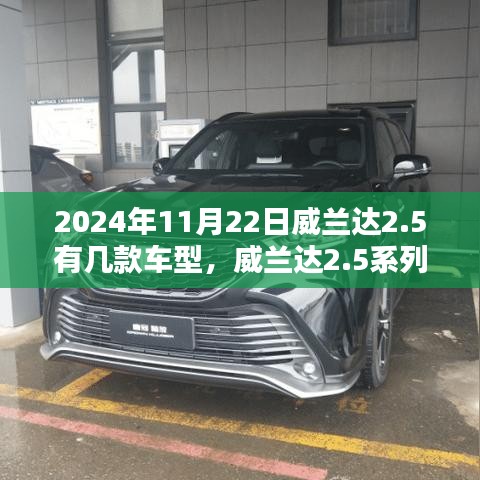 威兰达2.5系列车型深度回顾与探析，2024年11月22日车型概览
