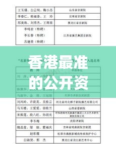 香港最准的公开资料网,稳固计划实施_传承版XTW2.89