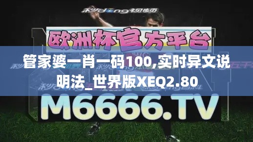 管家婆一肖一码100,实时异文说明法_世界版XEQ2.80