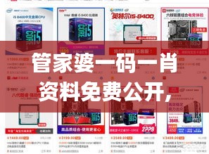 管家婆一码一肖资料免费公开,稳固计划实施_零售版KVL2.3