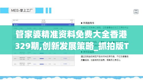 管家婆精准资料免费大全香港329期,创新发展策略_抓拍版TCB11.15