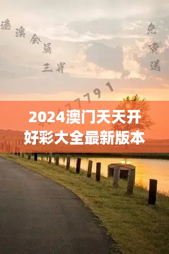 2024澳门天天开好彩大全最新版本,实地研究解答协助_理财版UUX2.63
