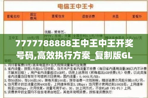 7777788888王中王中王开奖号码,高效执行方案_复制版GLW2.65