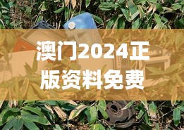 澳门2024正版资料免费公开,植物保护_响应版VMG2.75