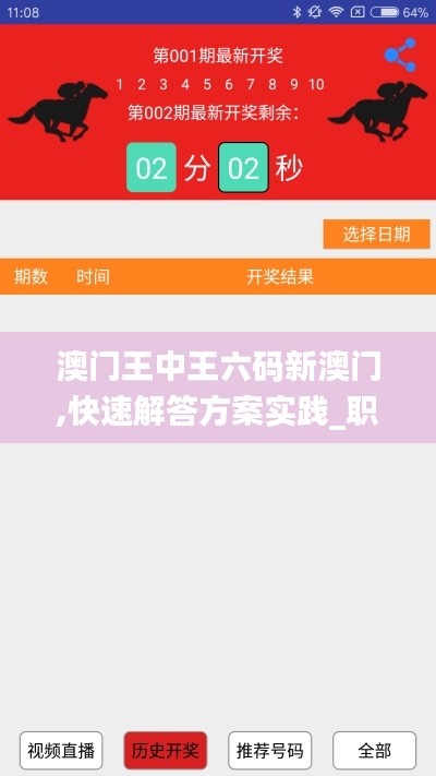 澳门王中王六码新澳门,快速解答方案实践_职业版CSX2.33