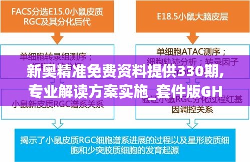 新奥精准免费资料提供330期,专业解读方案实施_套件版GHL11.44