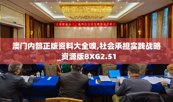 澳门内部正版资料大全嗅,社会承担实践战略_资源版BXG2.51