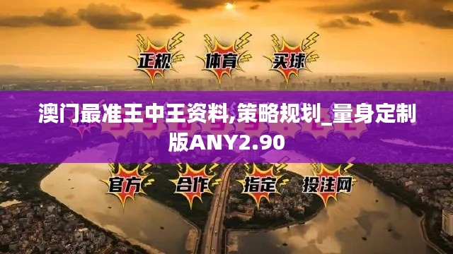 澳门最准王中王资料,策略规划_量身定制版ANY2.90