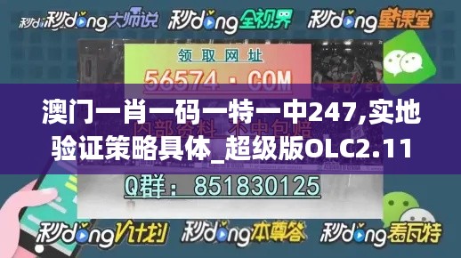 澳门一肖一码一特一中247,实地验证策略具体_超级版OLC2.11