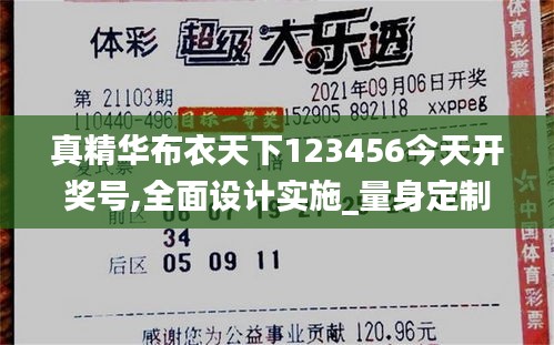 真精华布衣天下123456今天开奖号,全面设计实施_量身定制版SCZ2.55