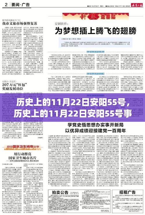 历史上的11月22日安阳55号事件深度解析，独特观点揭秘事件真相