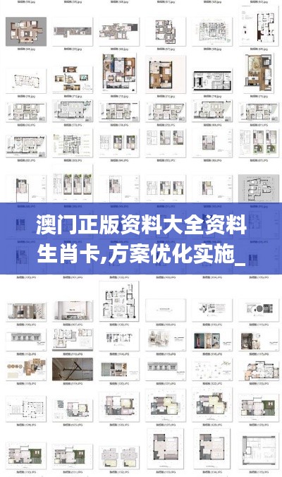 澳门正版资料大全资料生肖卡,方案优化实施_护眼版BSO2.64