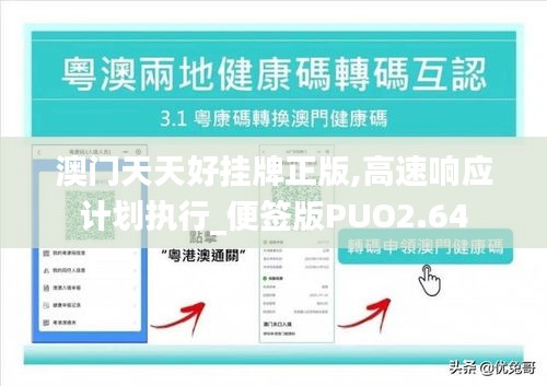 澳门天天好挂牌正版,高速响应计划执行_便签版PUO2.64