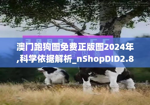 澳门跑狗图免费正版图2024年,科学依据解析_nShopDID2.83