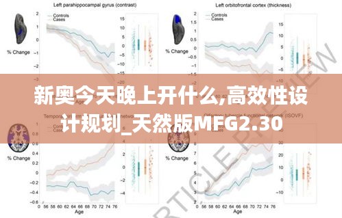 新奥今天晚上开什么,高效性设计规划_天然版MFG2.30