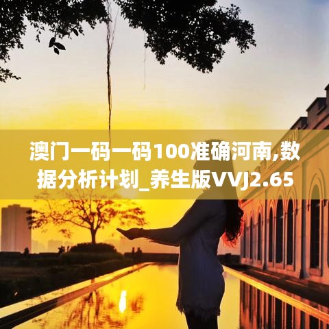 澳门一码一码100准确河南,数据分析计划_养生版VVJ2.65