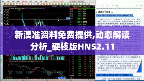 新澳准资料免费提供,动态解读分析_硬核版HNS2.11