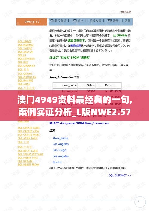 澳门4949资料最经典的一句,案例实证分析_L版NWE2.57