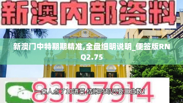 新澳门中特期期精准,全盘细明说明_便签版RNQ2.75