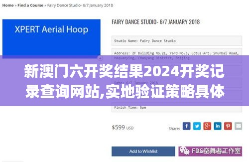 新澳门六开奖结果2024开奖记录查询网站,实地验证策略具体_时刻版IYB2.77