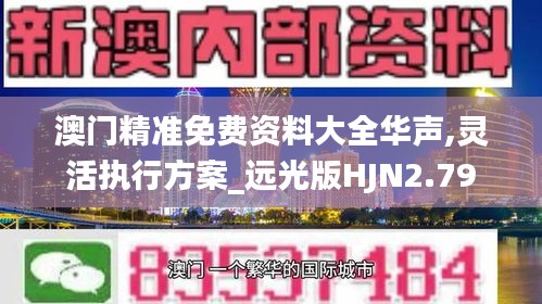 澳门精准免费资料大全华声,灵活执行方案_远光版HJN2.79