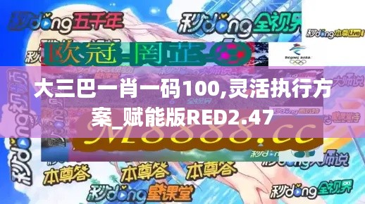 大三巴一肖一码100,灵活执行方案_赋能版RED2.47