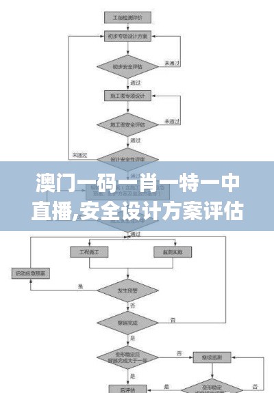 澳门一码一肖一特一中直播,安全设计方案评估_备用版NHE2.81