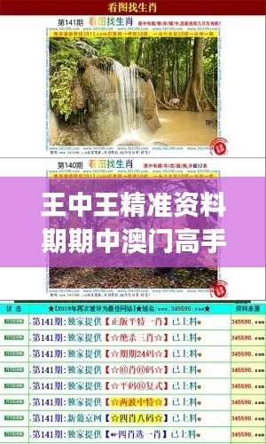 王中王精准资料期期中澳门高手,目前现象解析描述_修改版IIF2.6