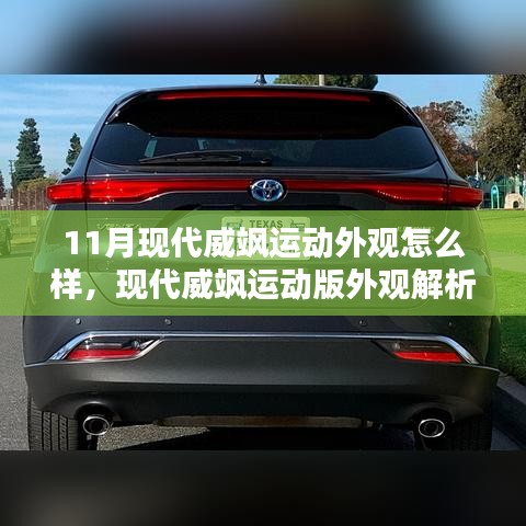 现代威飒运动版外观解析，时尚与运动的完美融合，11月新款威飒运动外观大揭秘！