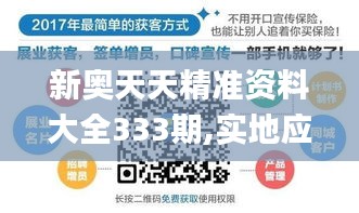 新奥天天精准资料大全333期,实地应用实践解读_复古版QNP11.70