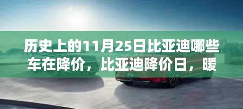 历史上的11月25日比亚迪哪些车在降价，比亚迪降价日，暖阳下的惊喜与温情纽带
