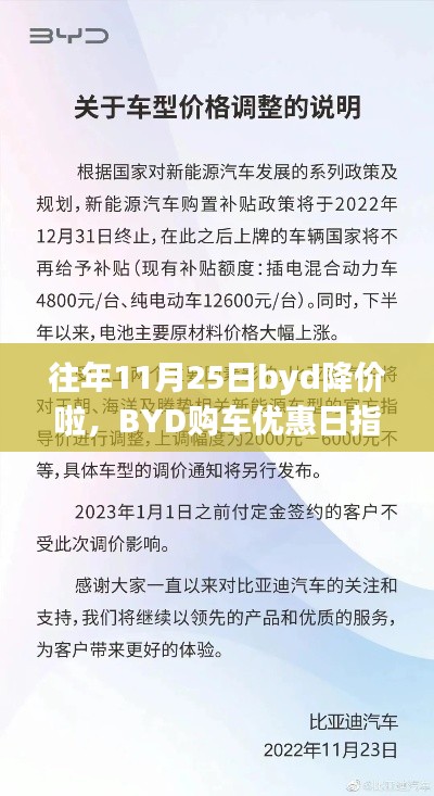 往年11月25日BYD降价日购车攻略，优惠指南与把握降价机会的方法