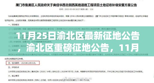 渝北区最新征地公告揭秘，11月25日动态及征地动态重磅更新