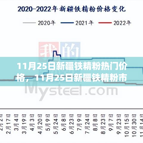 新疆铁精粉市场热门价格解析及最新报价（11月25日）