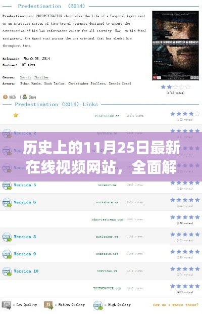 历史上的11月25日在线视频网站深度解析与评测报告，最新在线视频平台的全面解读