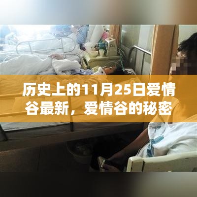 探寻爱情谷的秘密，特色小店奇遇记，历史视角下的11月25日