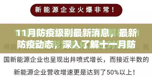 十一月防疫级别调整深度解析，最新动态与应对策略