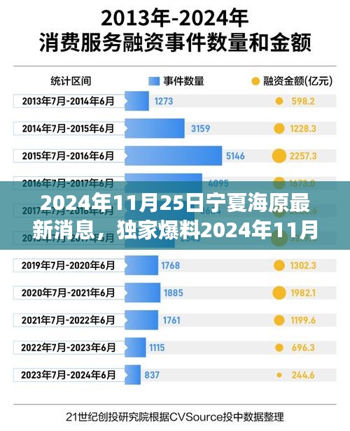 独家揭秘，宁夏海原最新动态与未来展望（2024年11月25日更新）
