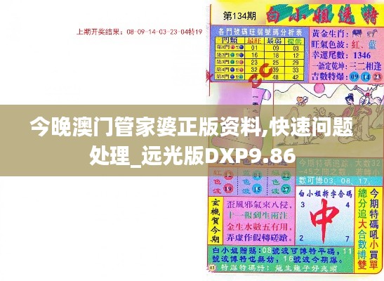 今晚澳门管家婆正版资料,快速问题处理_远光版DXP9.86
