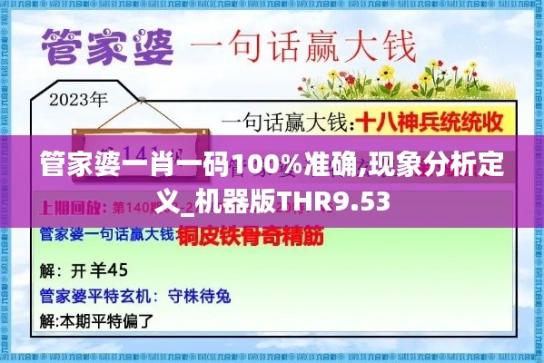 管家婆一肖一码100%准确,现象分析定义_机器版THR9.53