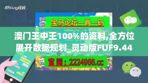澳门王中王100%的资料,全方位展开数据规划_灵动版FUF9.44