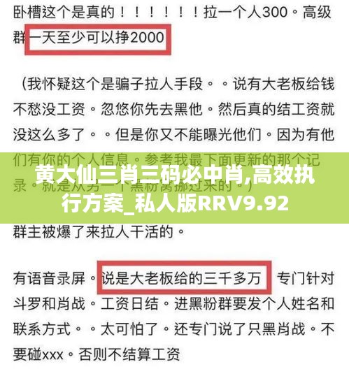 黄大仙三肖三码必中肖,高效执行方案_私人版RRV9.92