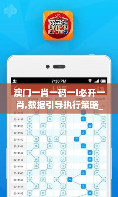 澳门一肖一码一l必开一肖,数据引导执行策略_共鸣版JLG9.65