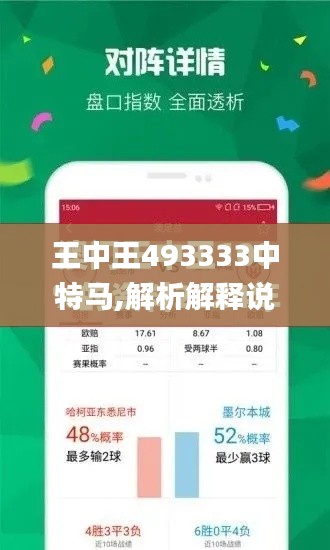 王中王493333中特马,解析解释说法_轻量版GBF9.84