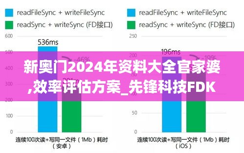 新奥门2024年资料大全官家婆,效率评估方案_先锋科技FDK9.65