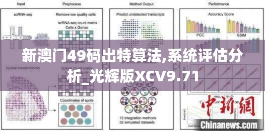 新澳门49码出特算法,系统评估分析_光辉版XCV9.71