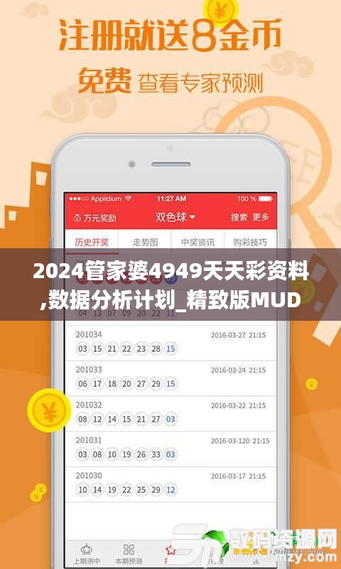 2024管家婆4949天天彩资料,数据分析计划_精致版MUD9.45