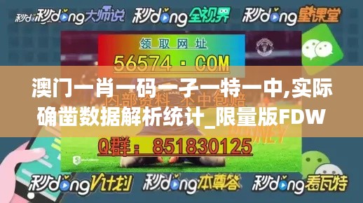 澳门一肖一码一孑一特一中,实际确凿数据解析统计_限量版FDW9.93